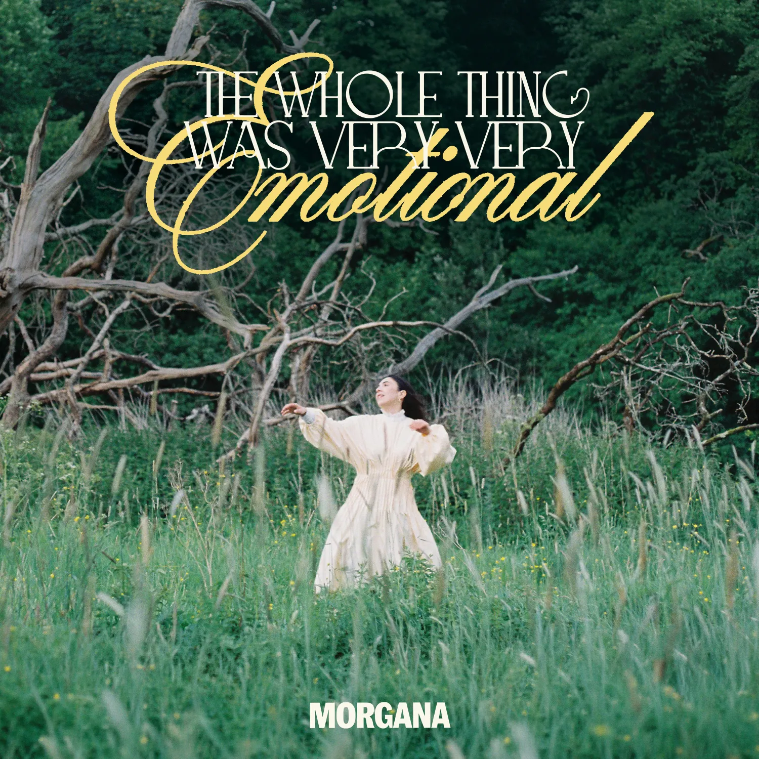 Morgana Announces Debut Album The Whole Thing Was Very Very Emotional And Shares New Single 'Sidekick' 10