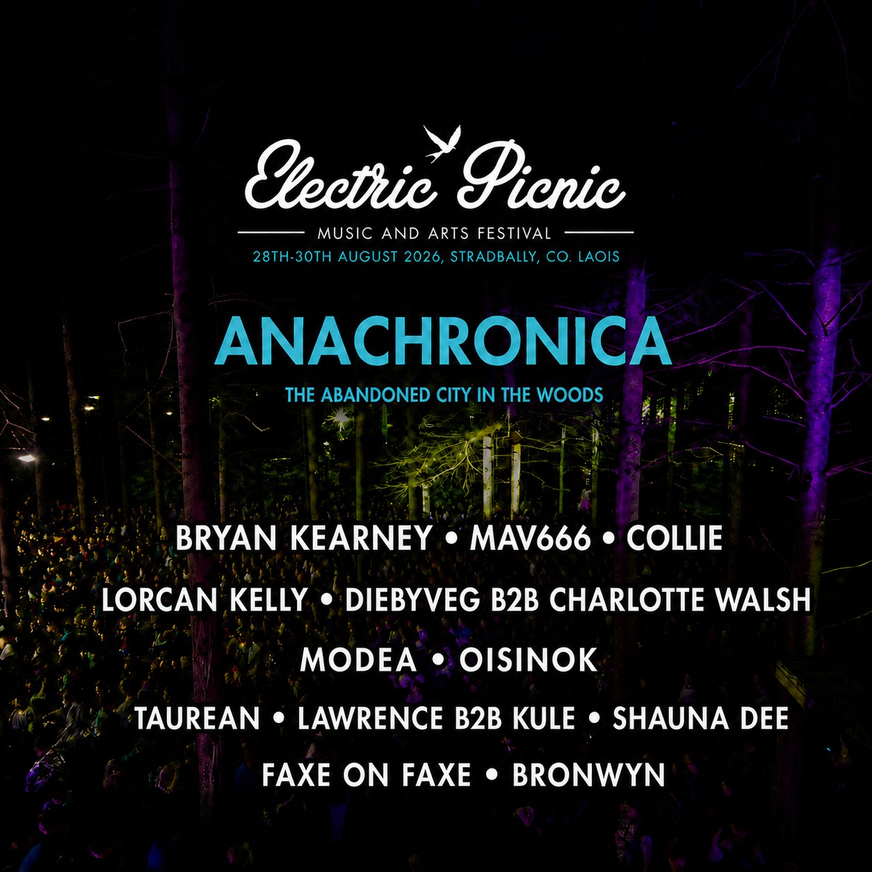 Electric Picnic'S Rave In The Woods Lineup Is Here 10