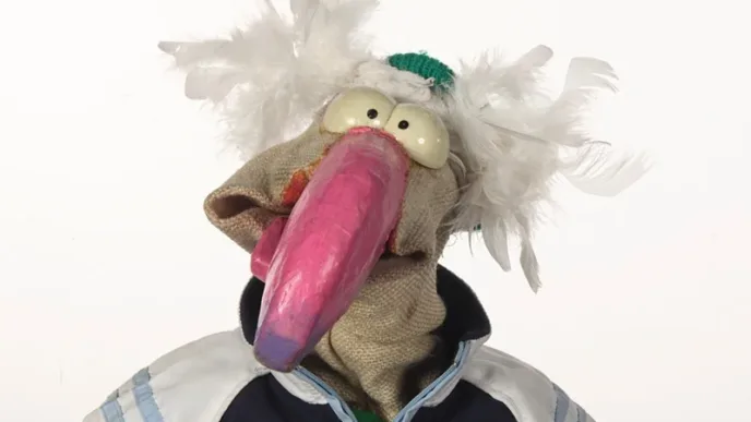 Dustin The Turkey
