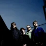 Gurriers. Photo: Steve Gullick.