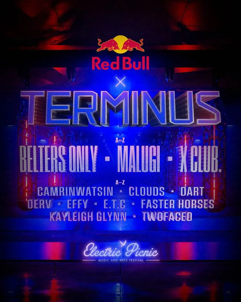 Electric Picnic Announce Upgraded Terminus Stage And Lineup 10