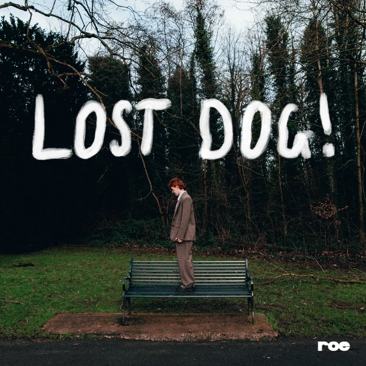 Best New Albums This Week: Girlfriend., Cyst (Iglooghost), Corto.alto, Last Apollo, Chat Pile, Amyl And The Sniffers... 20